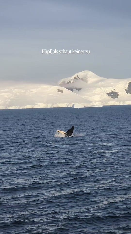 Post 6 by Annika Berg | 🌍 Reisetipps on TikTok (video)