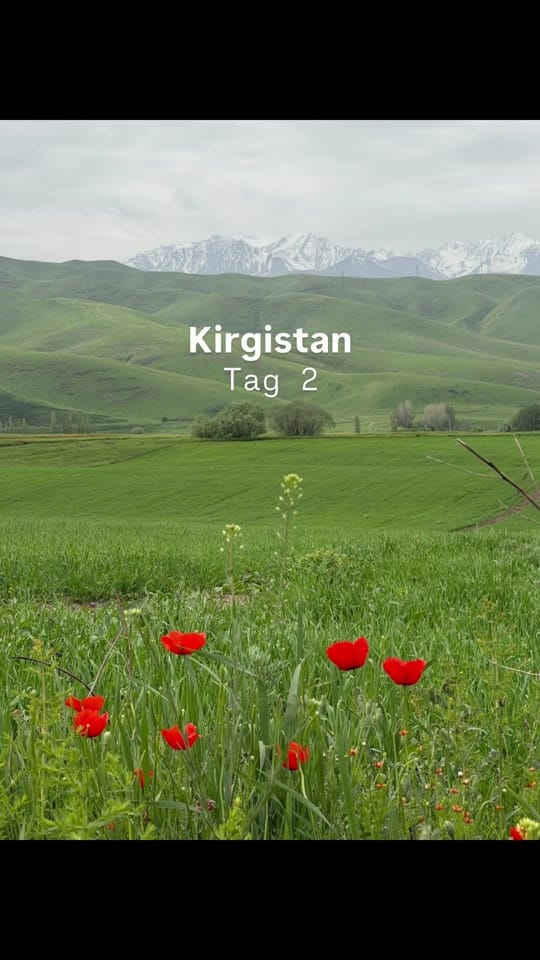 Post 2 by Annika Berg | 🌍 Reisetipps on TikTok (video)