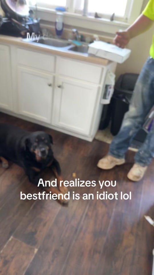 Post 1 by Colby on TikTok (video)