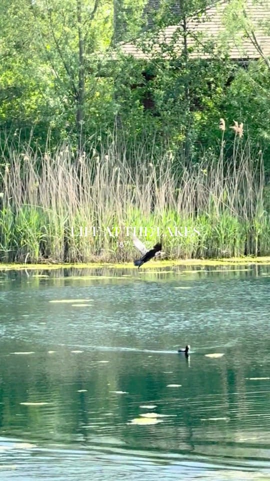 Post 3 by The Lakes by YOO on TikTok (video)