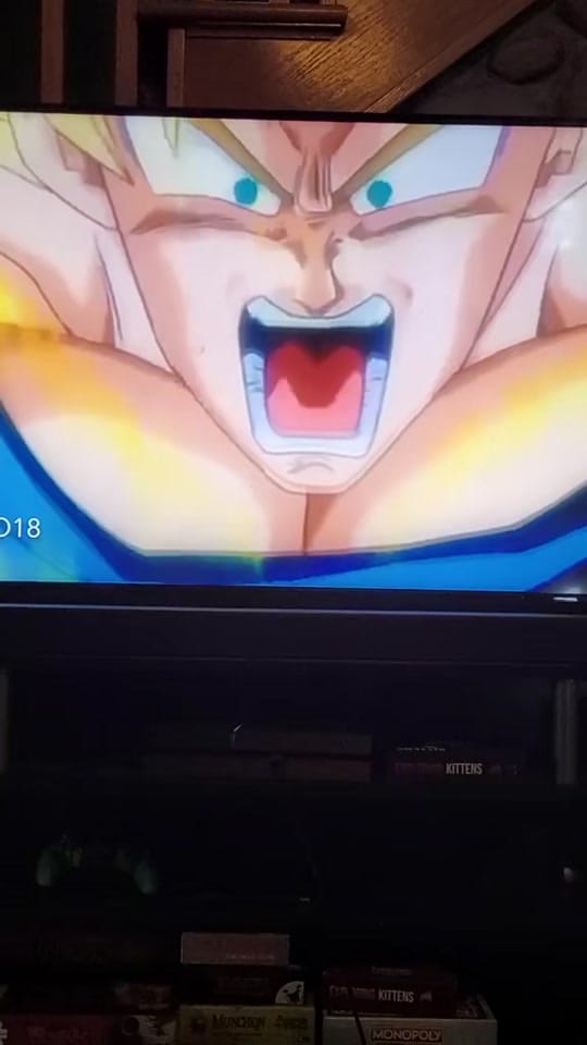 Post 1 by DerpQuest on TikTok (video)