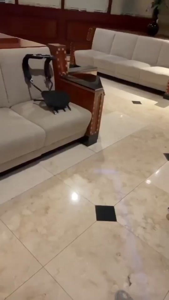 Post 2 by Cal Band on TikTok (video)