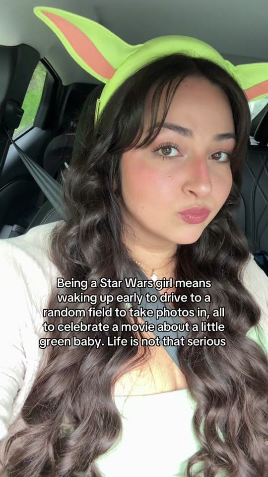 Post 9 by farahsmeadow on TikTok (video)