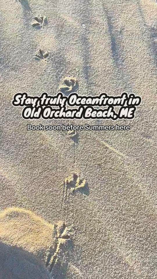 Post 9 by Shangrilette | TraciTravels on TikTok (video)