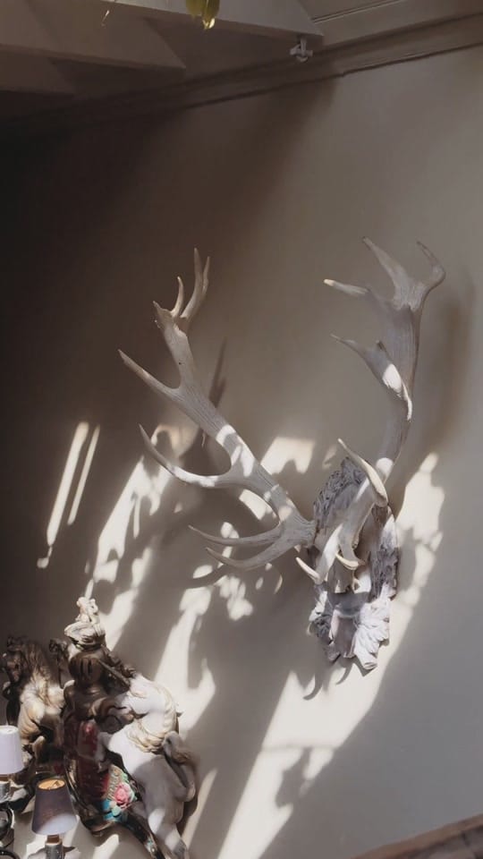 Post 6 by The Witchery on TikTok (video)