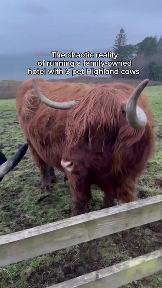 Post 6 by Loch Melfort Hotel Scotland on TikTok (video)
