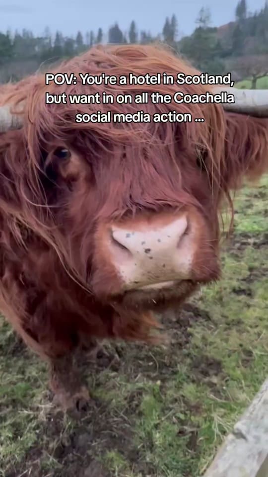 Post 10 by Loch Melfort Hotel Scotland on TikTok (video)