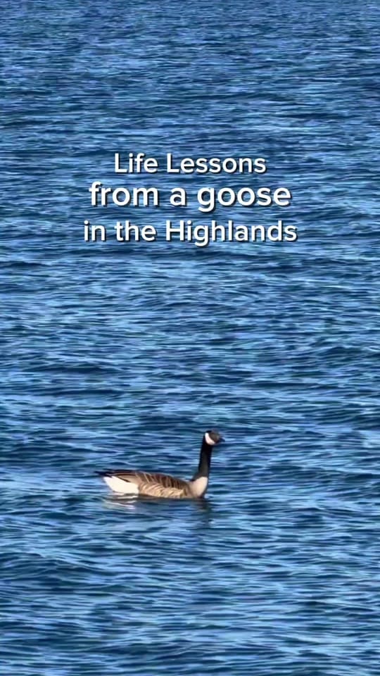 Post 3 by Loch Melfort Hotel Scotland on TikTok (video)
