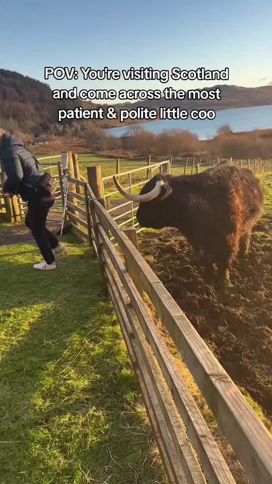 Post 8 by Loch Melfort Hotel Scotland on TikTok (video)