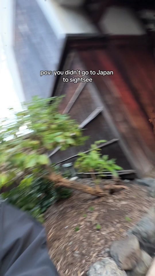 Post 8 by History by Jacklynn on TikTok (video)