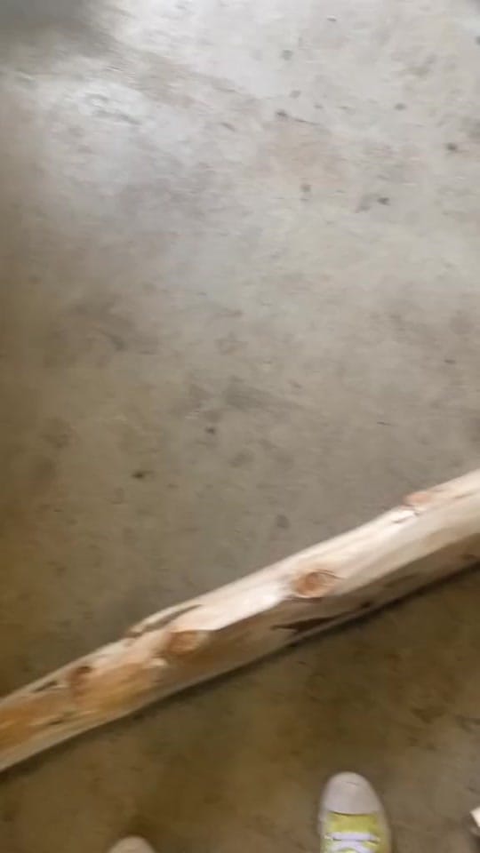Post 10 by Sam Golden on TikTok (video)