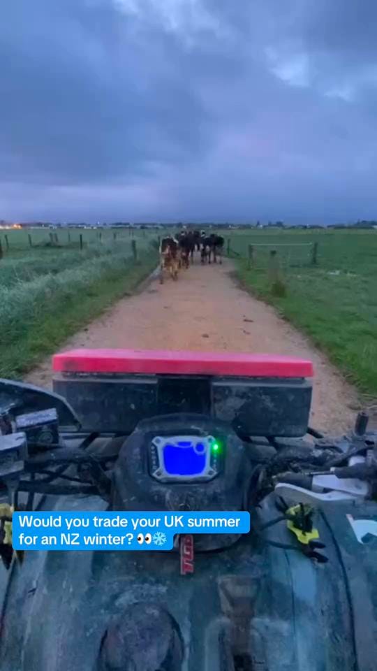 Post 5 by Ag Work NZ on TikTok (video)