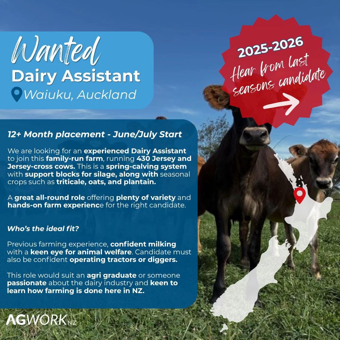 Post 6 by Ag Work NZ on TikTok (video)