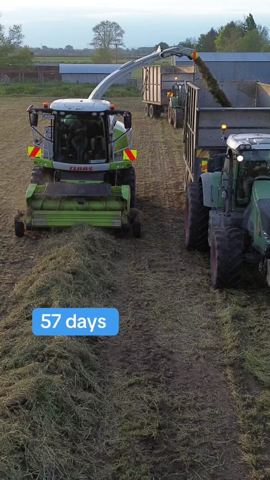 Post 9 by Ag Work NZ on TikTok (video)