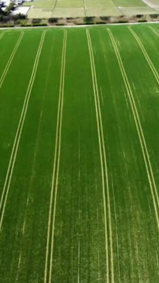 Post 2 by TheTravelsBlog on TikTok (video)