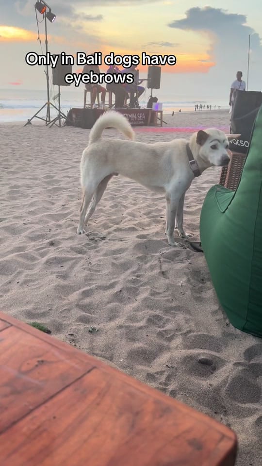 Post 5 by TravelWithAlex🥥 on TikTok (video)