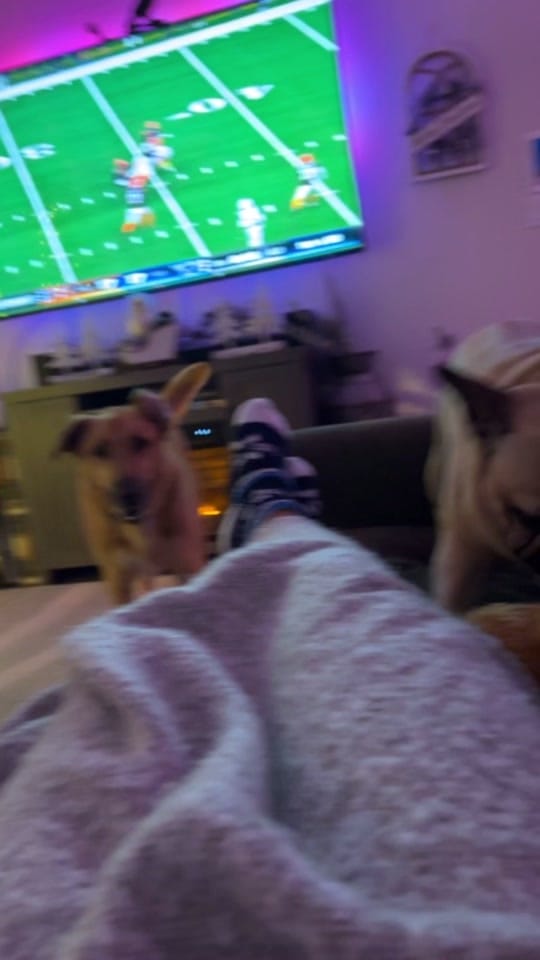 Post 8 by Matt Pappadia on TikTok (video)