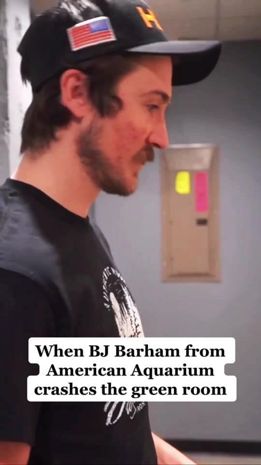 Post 6 by HippieMike on TikTok (video)