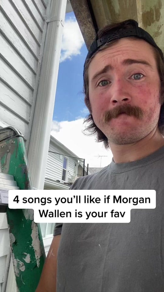 Post 3 by HippieMike on TikTok (video)
