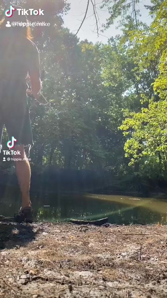 Post 5 by HippieMike on TikTok (video)