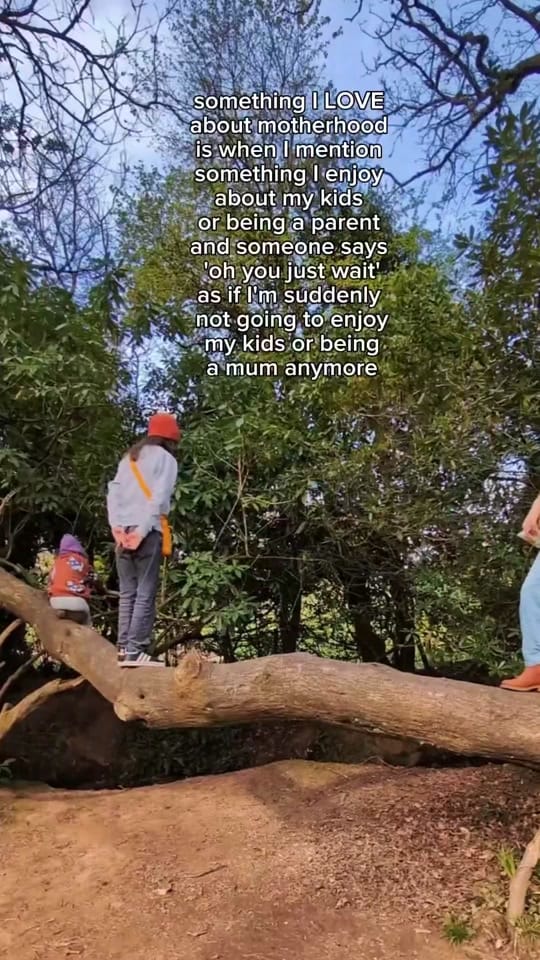 Post 7 by Fritha Tigerlilly  ✨🌿🍄 on TikTok (video)
