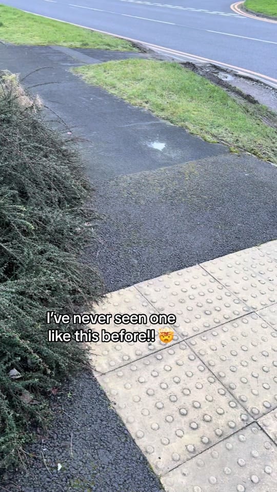Post 9 by Bex | Northern Blonde Abroad on TikTok (video)