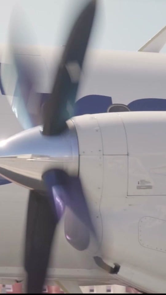 Post 3 by London Luton Airport on TikTok (video)