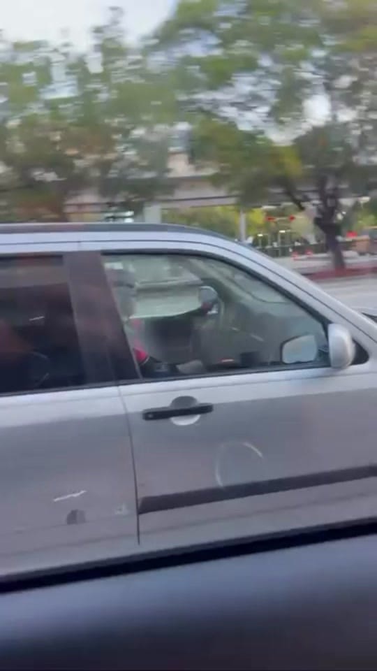Post 1 by El Caballo on TikTok (video)