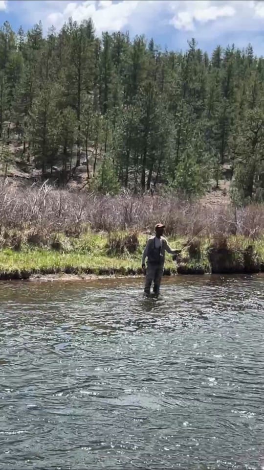 Post 5 by Eeland Stribling on TikTok (video)