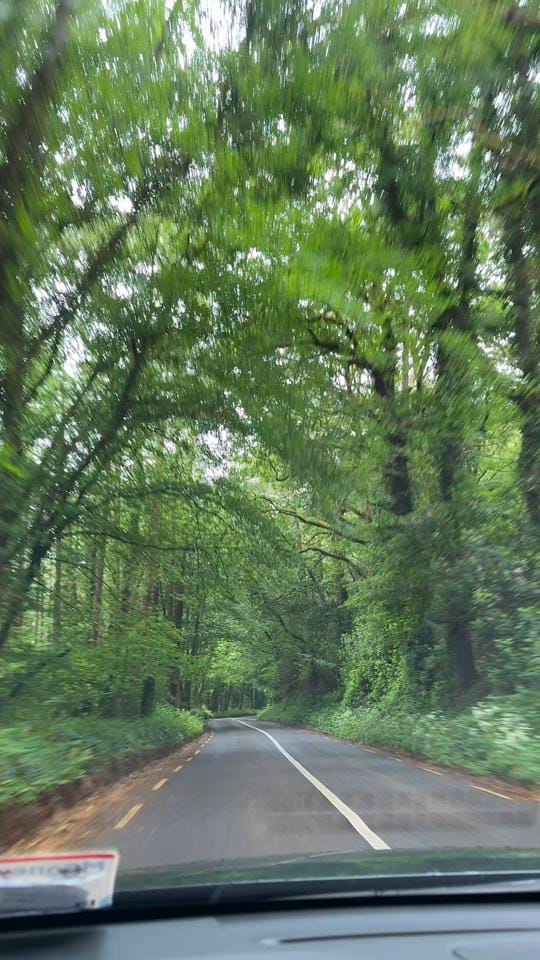 Post 5 by Chelsea | 🇺🇸📍🇮🇪 on TikTok (video)