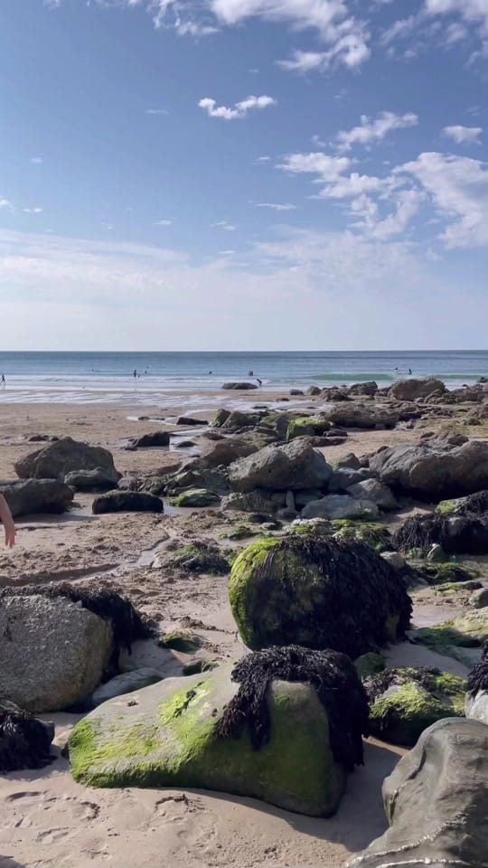 Post 10 by Polly Burton on TikTok (video)