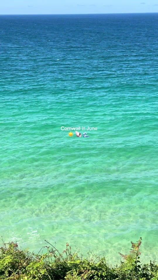 Post 5 by Polly Burton on TikTok (video)