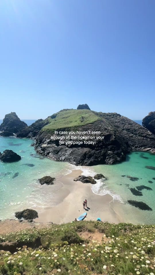 Post 3 by Polly Burton on TikTok (video)