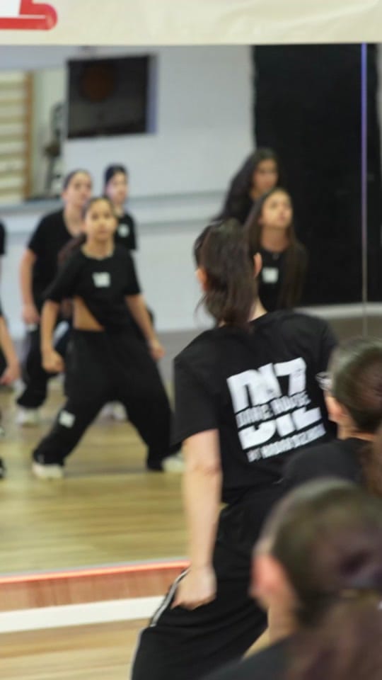 Post 6 by DIZ - Hadar Dizahav on TikTok (video)