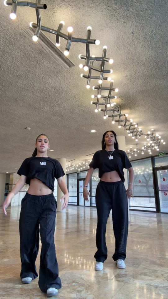 Post 3 by DIZ - Hadar Dizahav on TikTok (video)