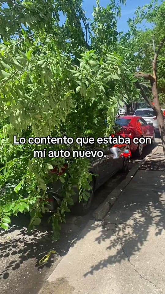 Post 3 by RAÚL on TikTok (video)