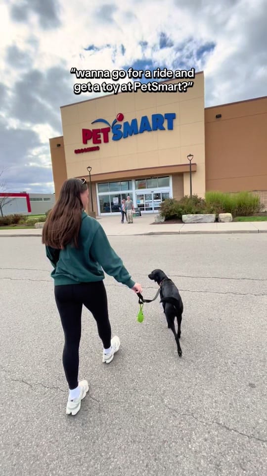 Post 2 by juliagosling88 on TikTok (video)