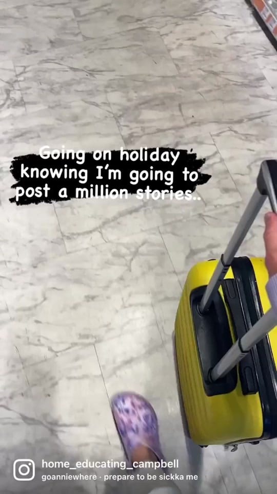 Post 5 by DaisyThePug_IvyTheFrenchie on TikTok (video)