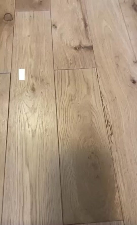 Post 6 by DaisyThePug_IvyTheFrenchie on TikTok (video)
