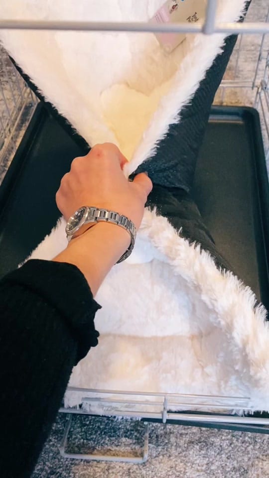 Post 10 by DaisyThePug_IvyTheFrenchie on TikTok (video)