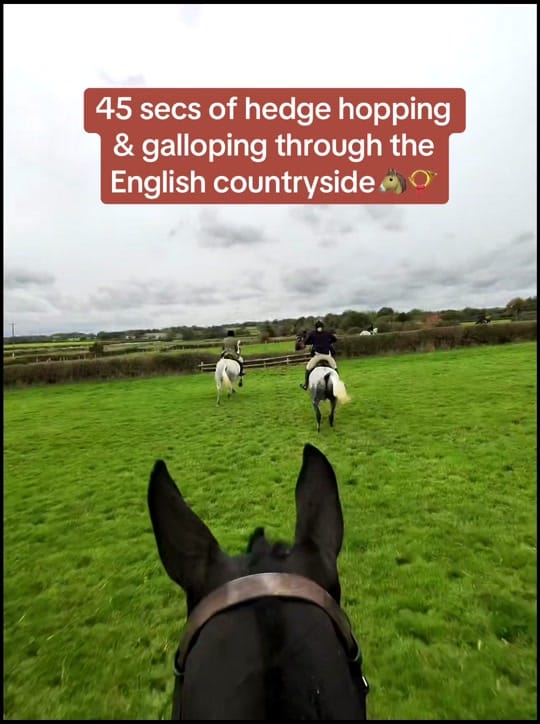 Post 9 by Kristen | equestrian & tips 🐴 on TikTok (video)