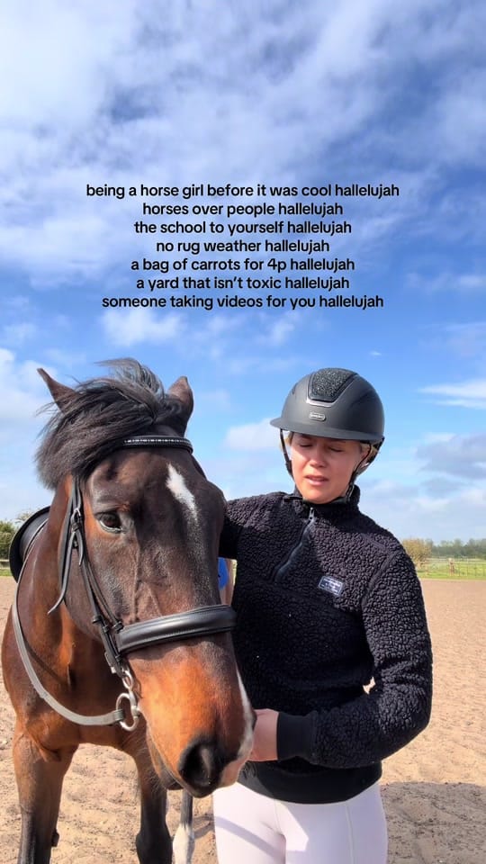 Post 6 by Kristen | equestrian & tips 🐴 on TikTok (video)