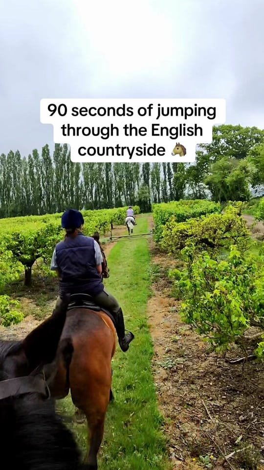 Post 5 by Kristen | equestrian & tips 🐴 on TikTok (video)