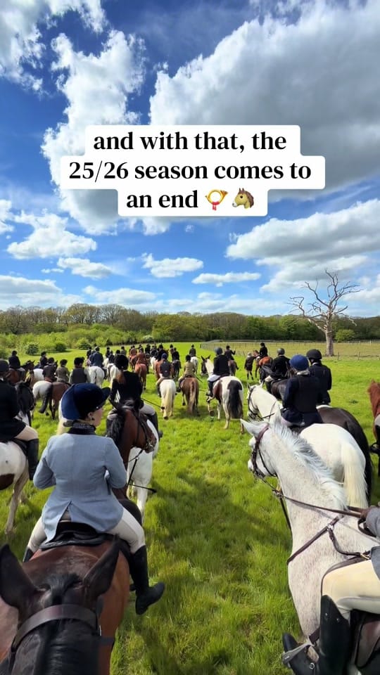 Post 7 by Kristen | equestrian & tips 🐴 on TikTok (video)