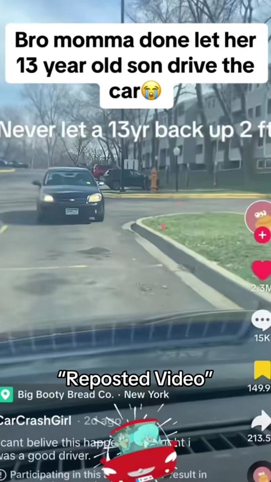 Post 3 by FloridaFunnyBoyz on TikTok (video)