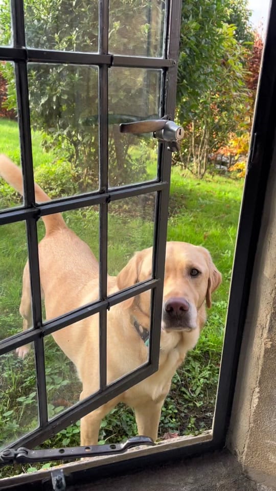 Post 7 by The Small House - Cotswolds on TikTok (video)