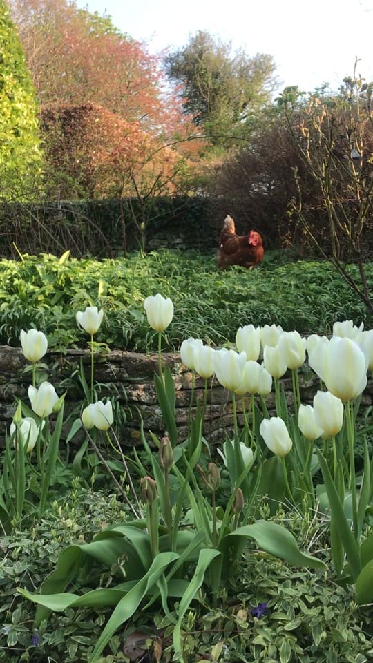 Post 3 by The Small House - Cotswolds on TikTok (video)