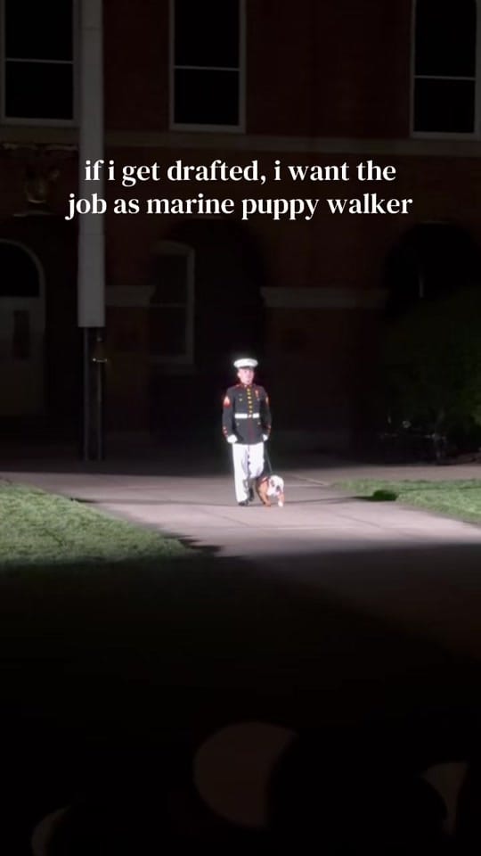 Post 8 by Nicole Koster on TikTok (video)