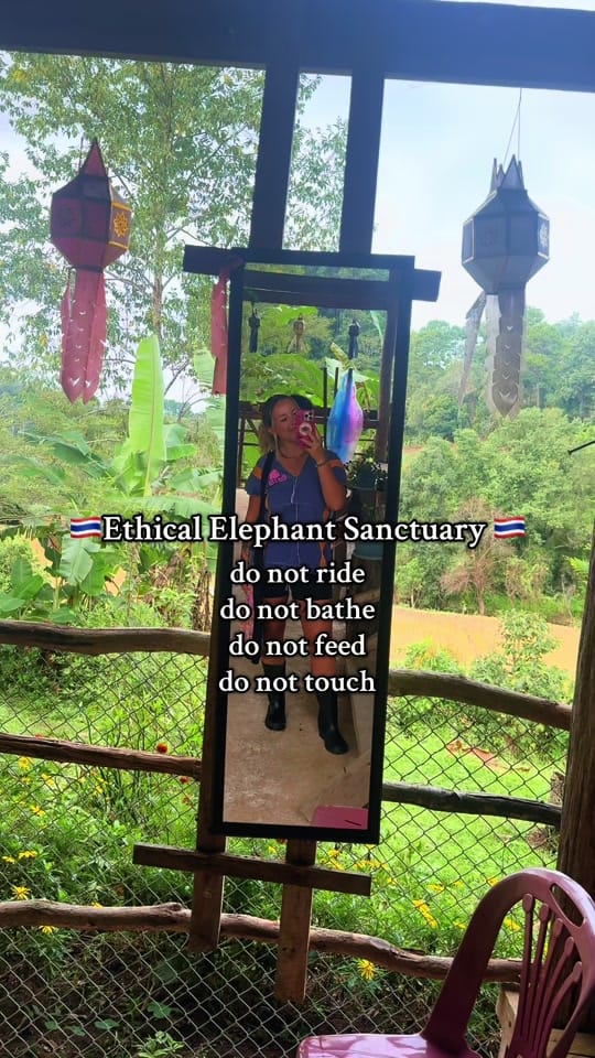 Post 10 by Nicole Koster on TikTok (video)