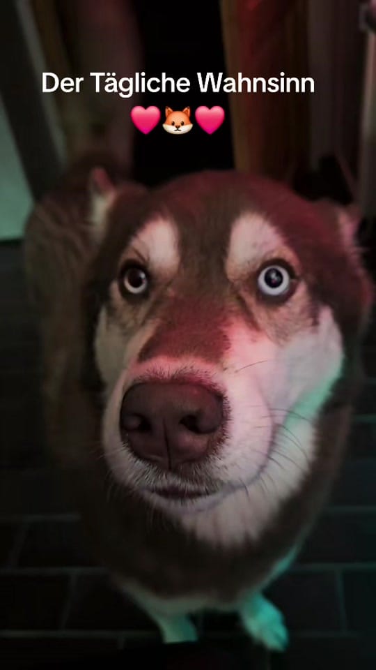 Post 4 by Wunny on TikTok (video)